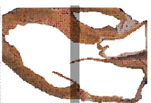 etiqueta-curso